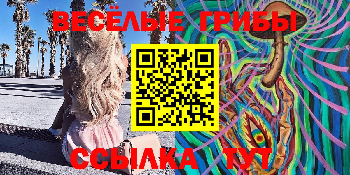 Галлюциногенные грибы ЛСД  Вход с VPN  Тында 